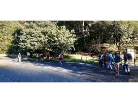 photo coins arrondis